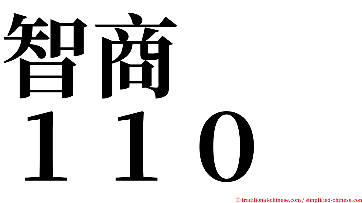 智商　　１１０ serif font